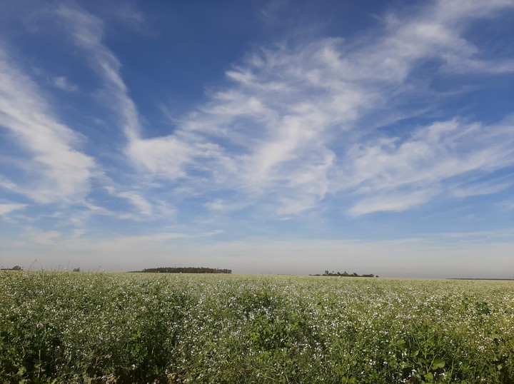 paisaje con cielo azul