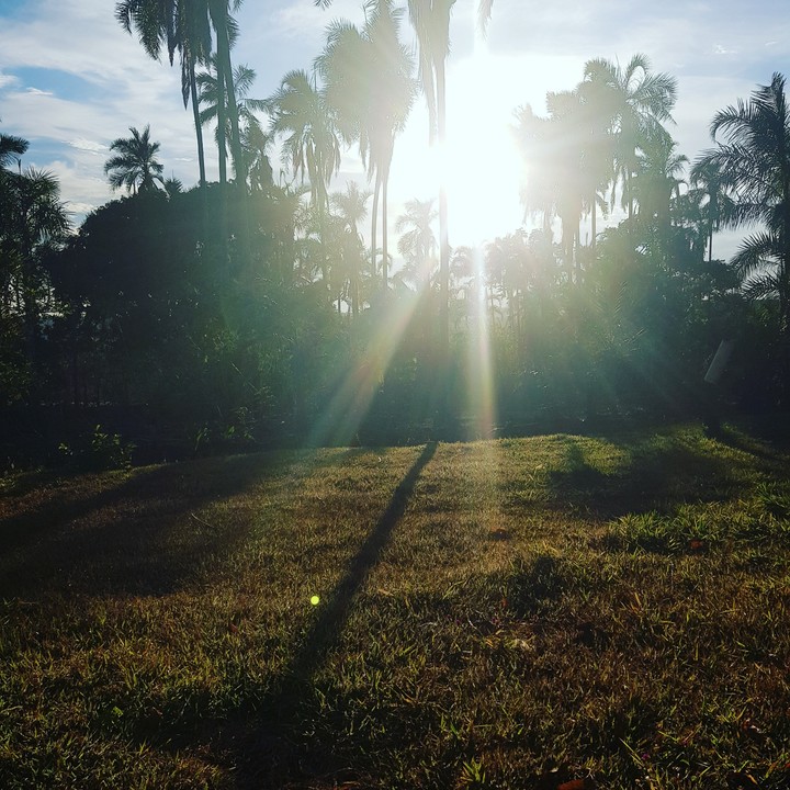 Fazenda