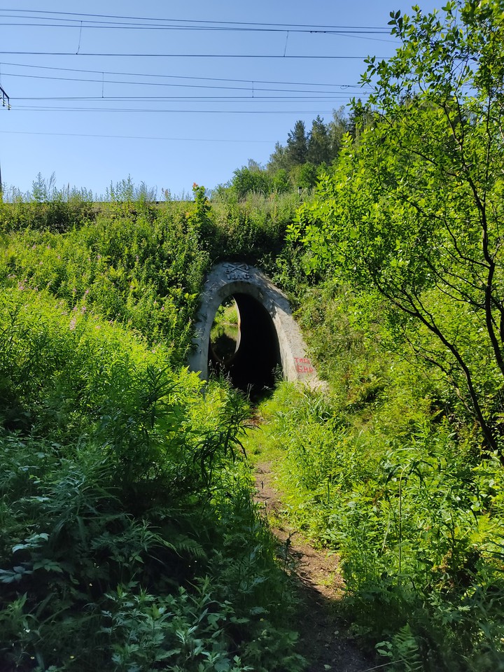 тоннель под жд дорогой
