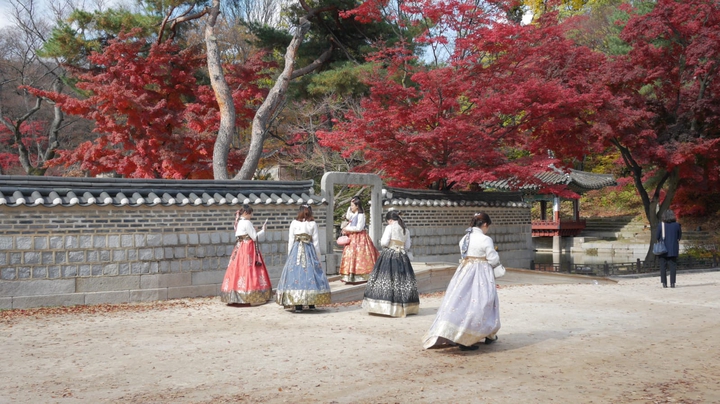 Japón en otoño