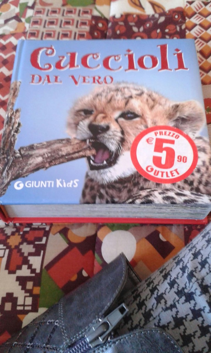 libro