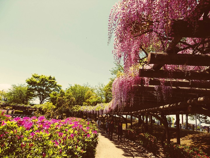 Summer air