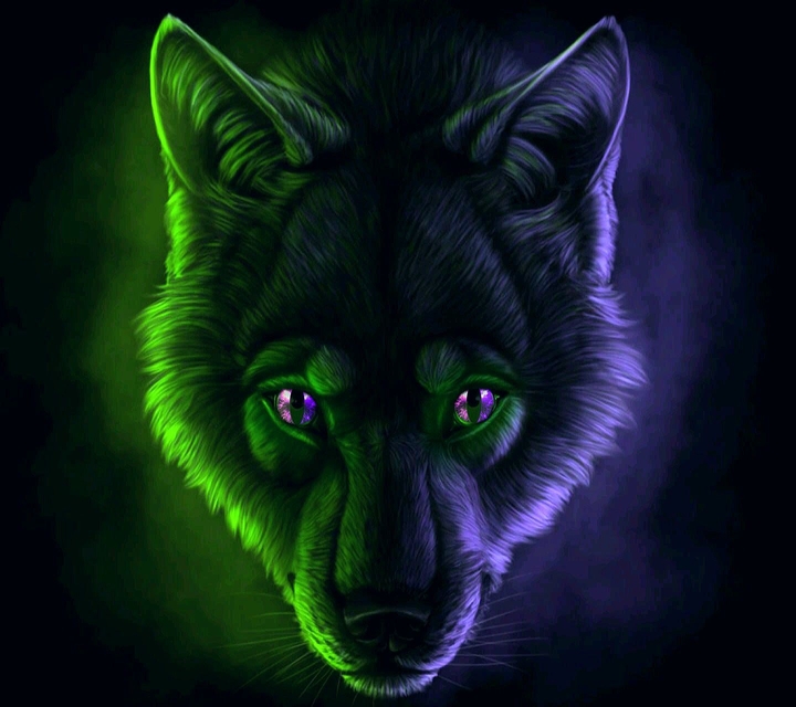 Wolf eye