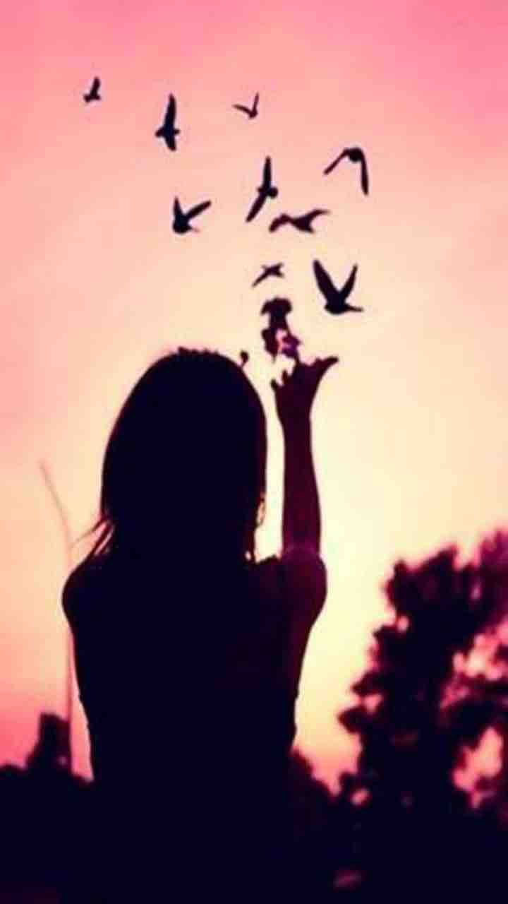 В закат выпускают голубей