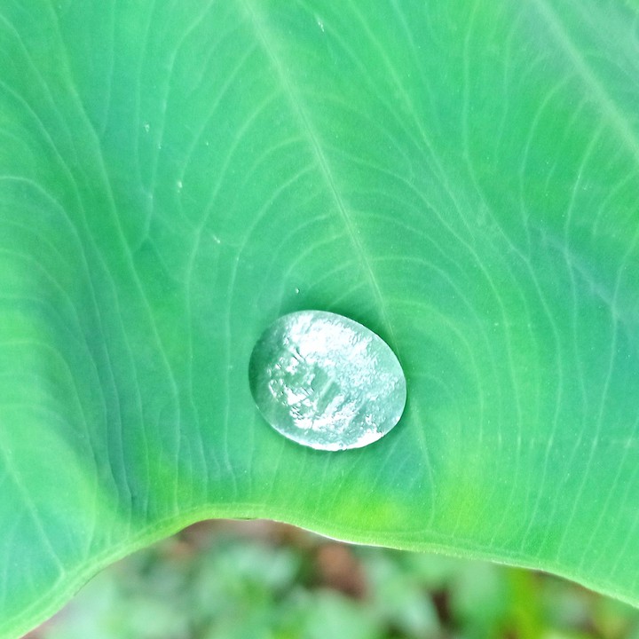 Drop