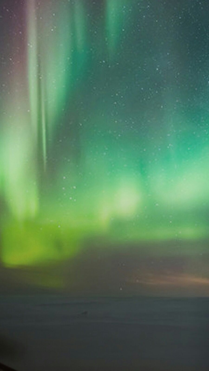 Aureola boreal