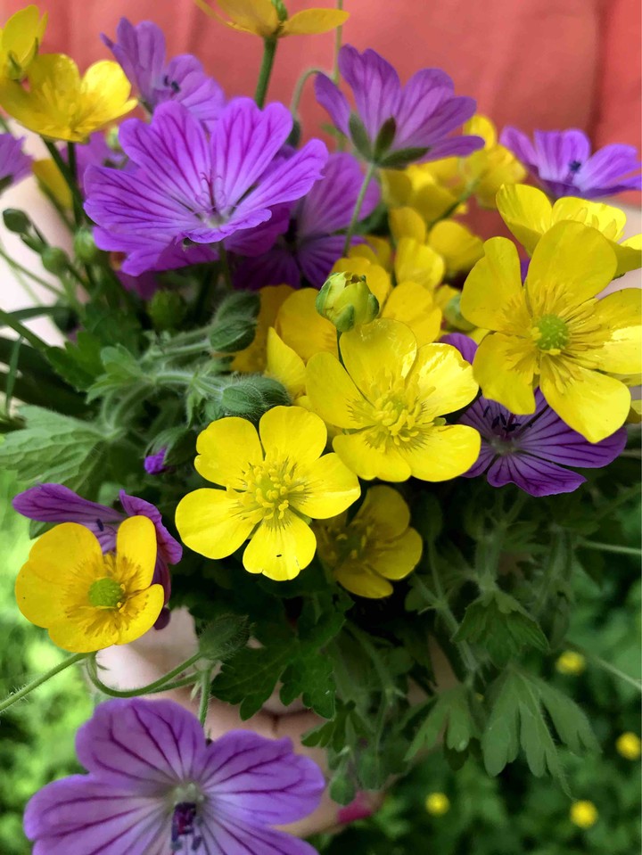 flower