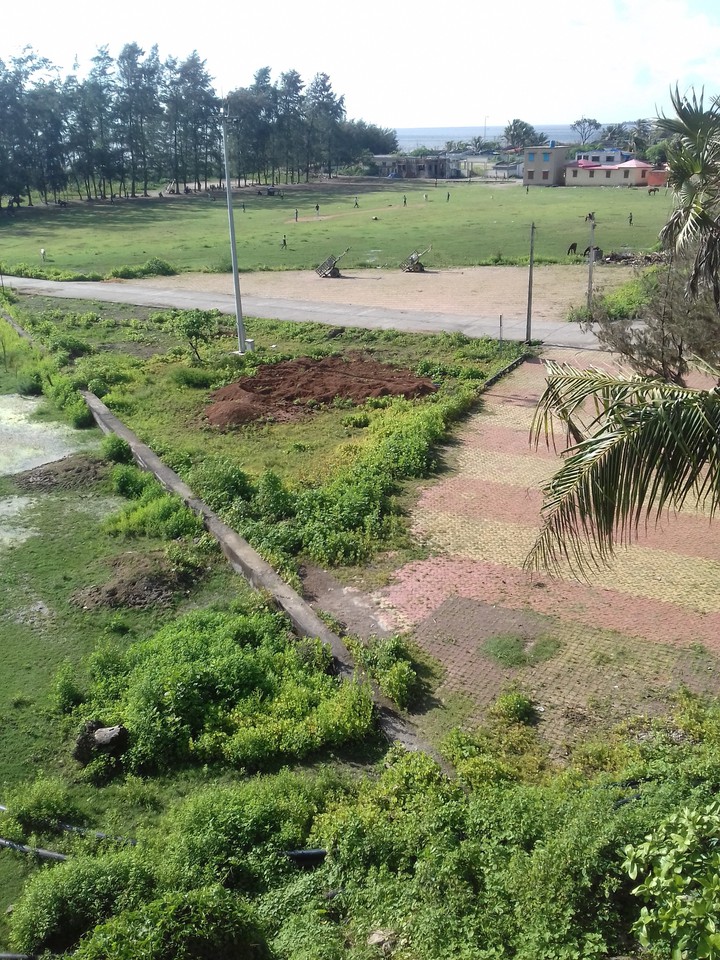 Park or Fort