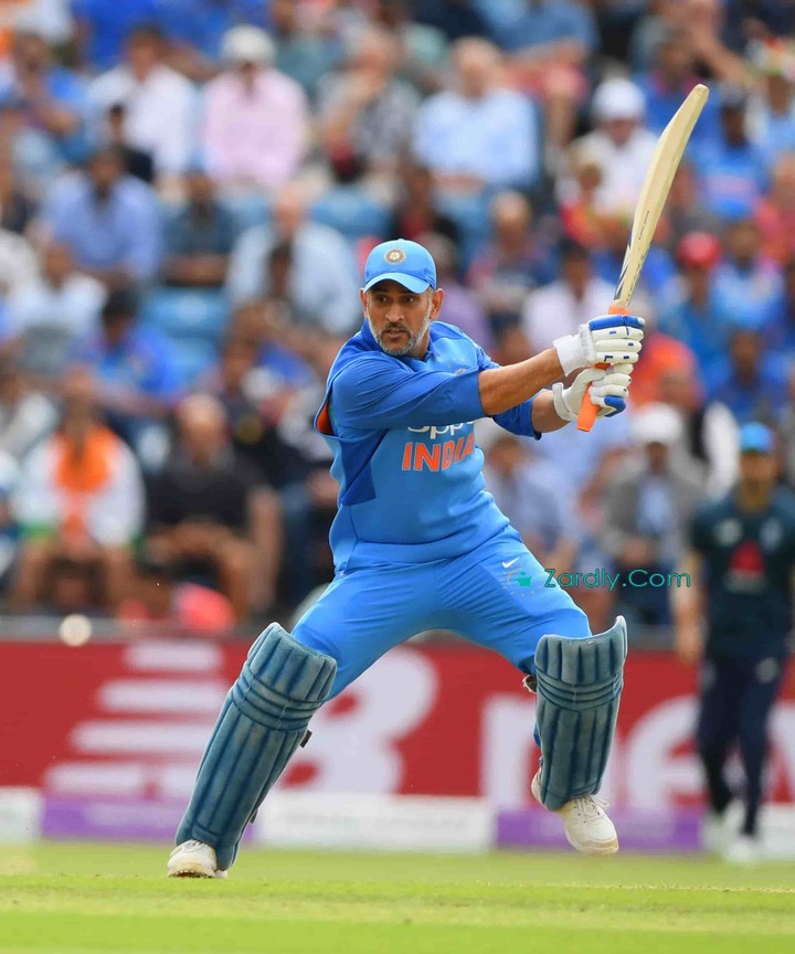MSD