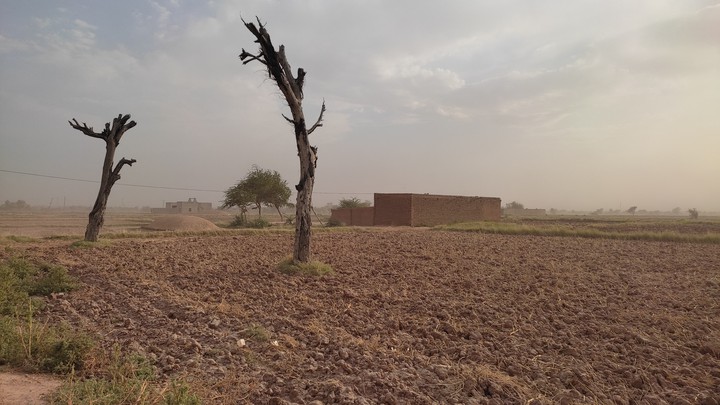 Village view