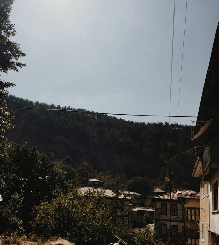 Bolu