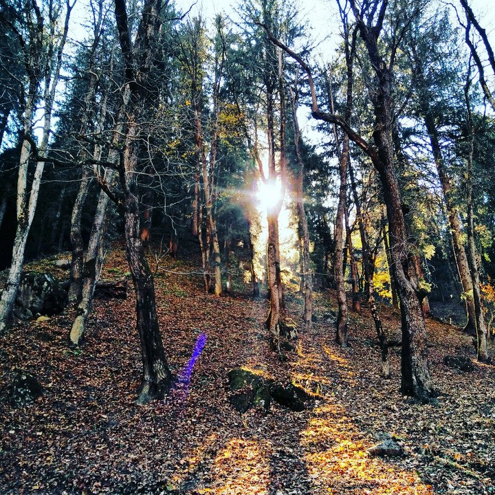 Nature