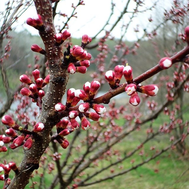 #Україна #природа #краса