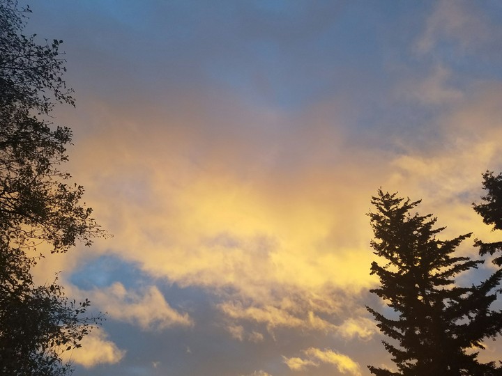 Beautiful color