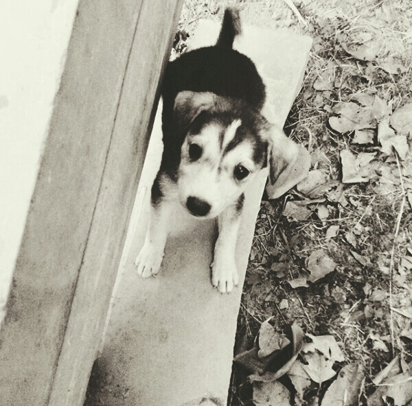 That innocence??.....