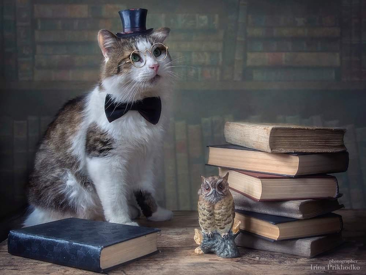 chat