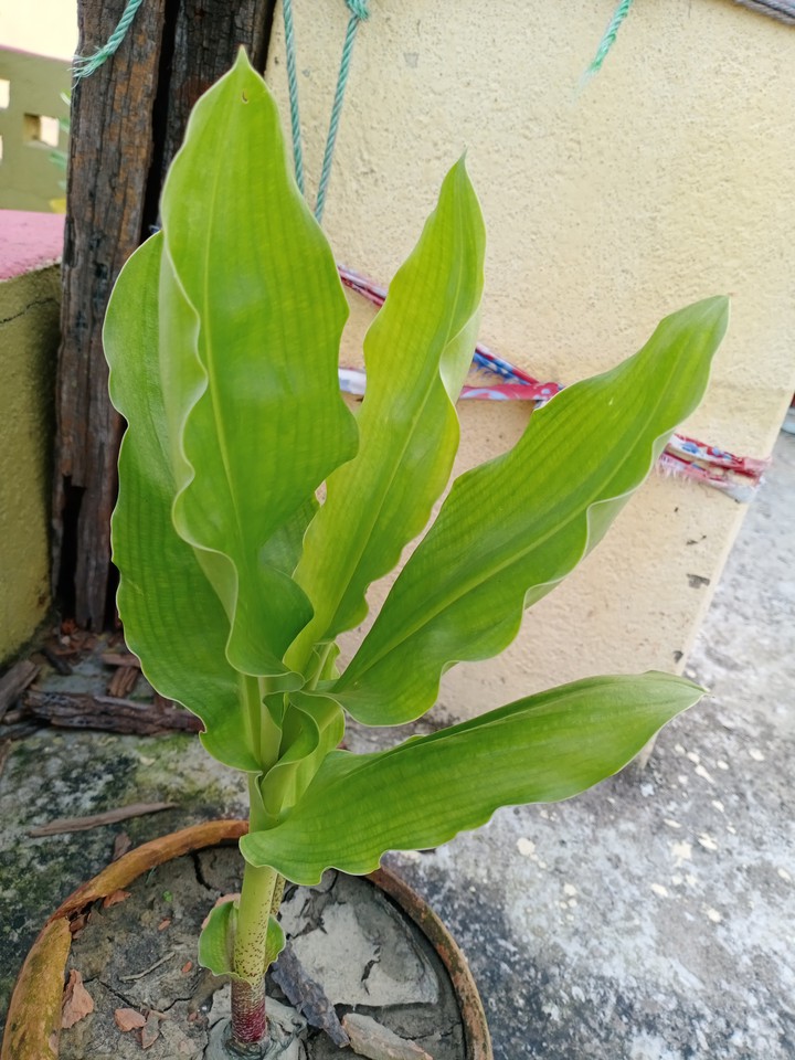A bit closer to the nature