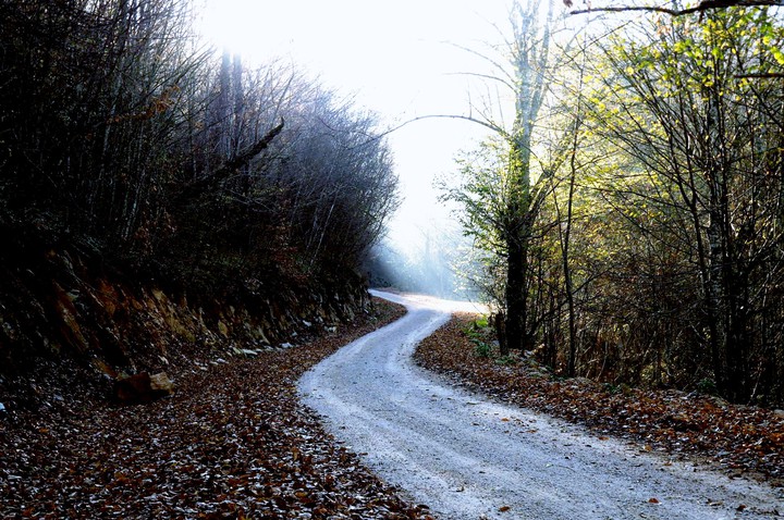Road
