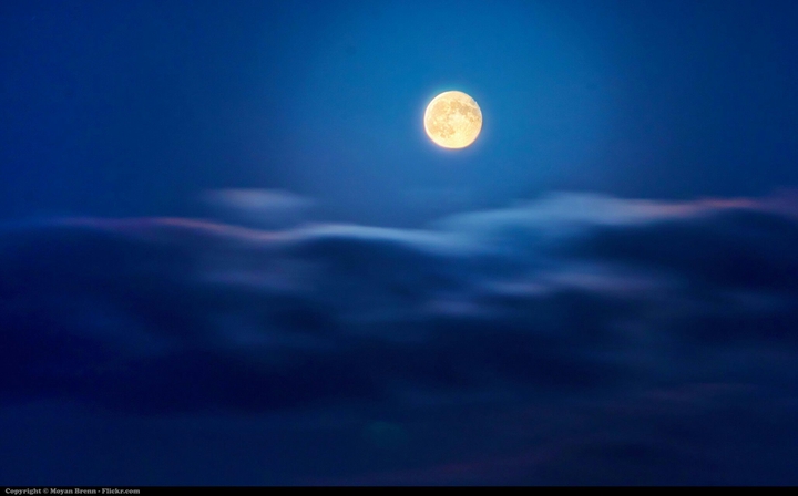 night