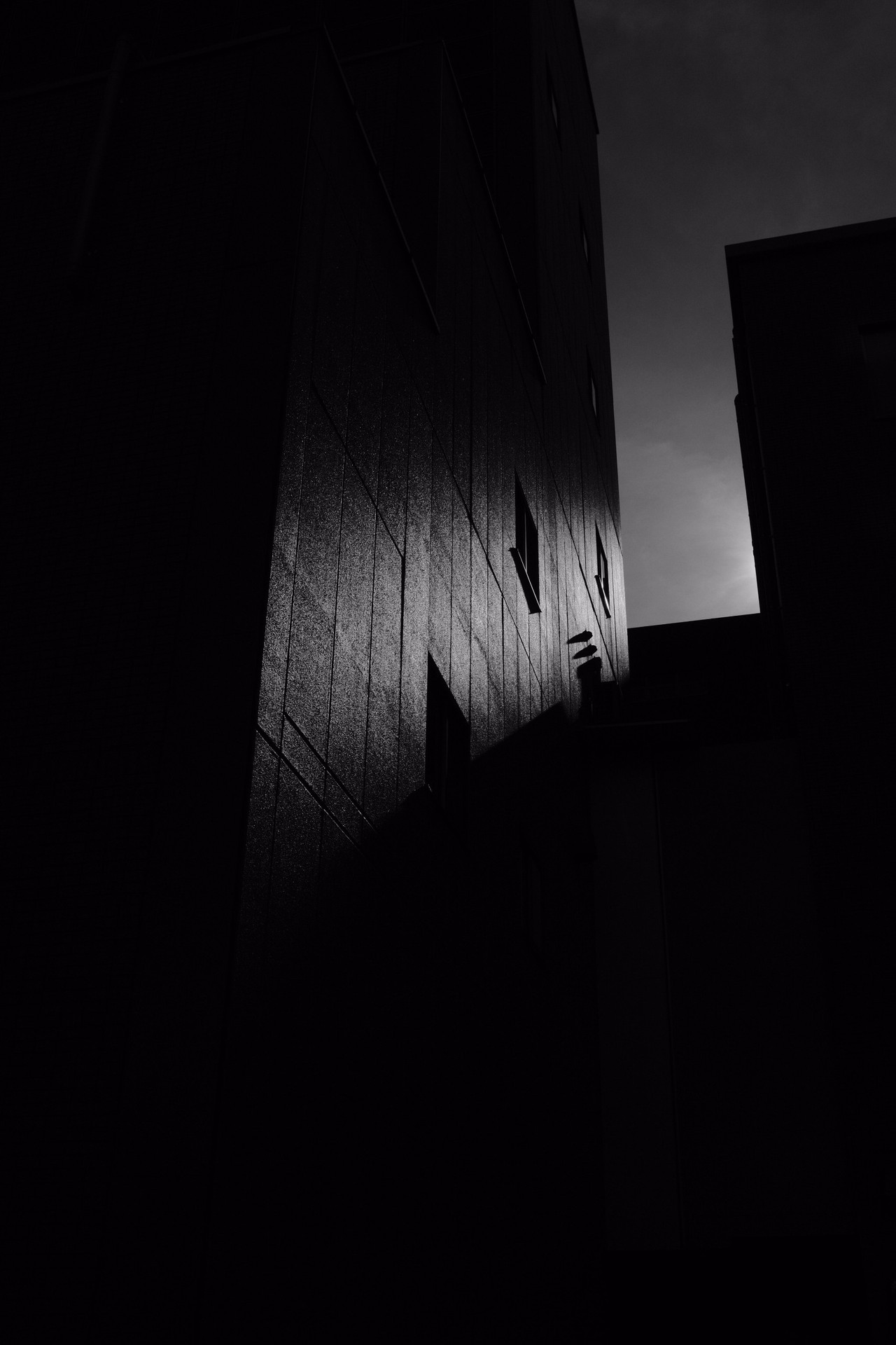 sfondi black, Photograph