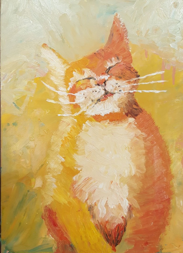 cat)