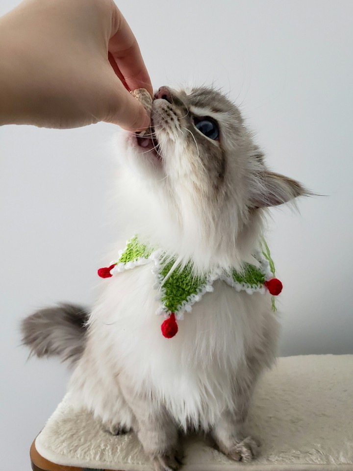 ⭐