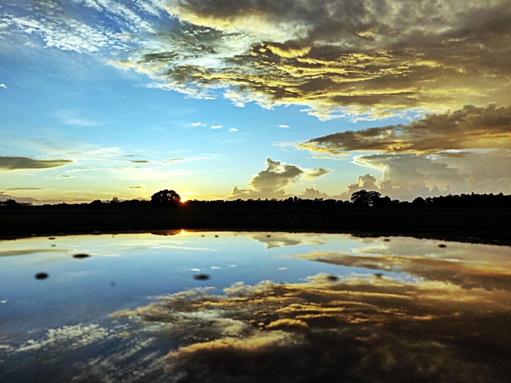 Reflection
