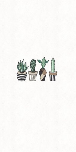 CACTUS ?