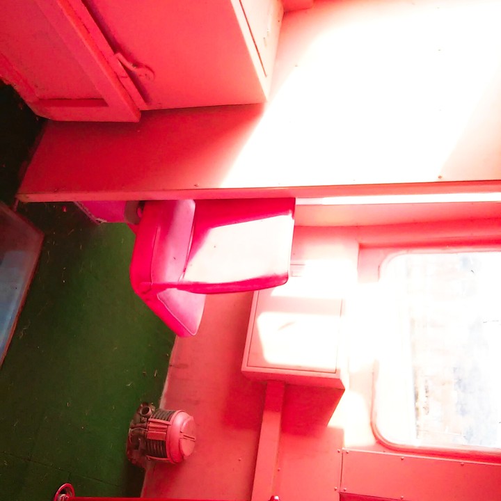 pink day