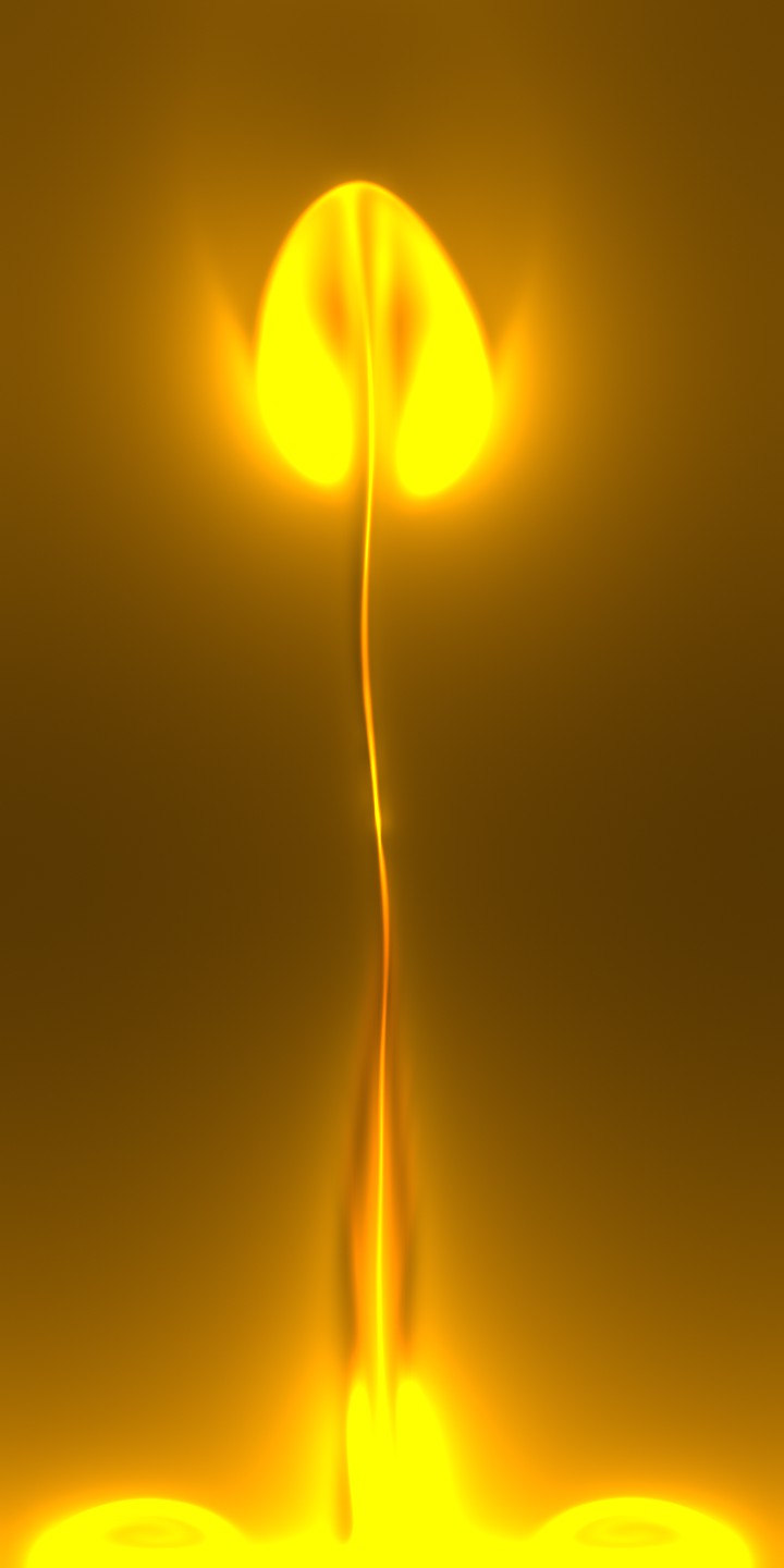 fire flower