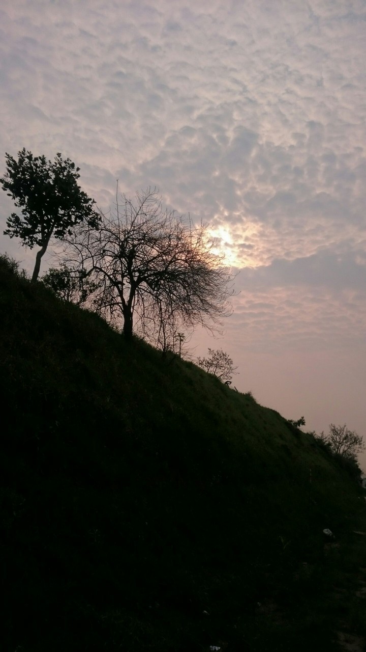 Good Morning