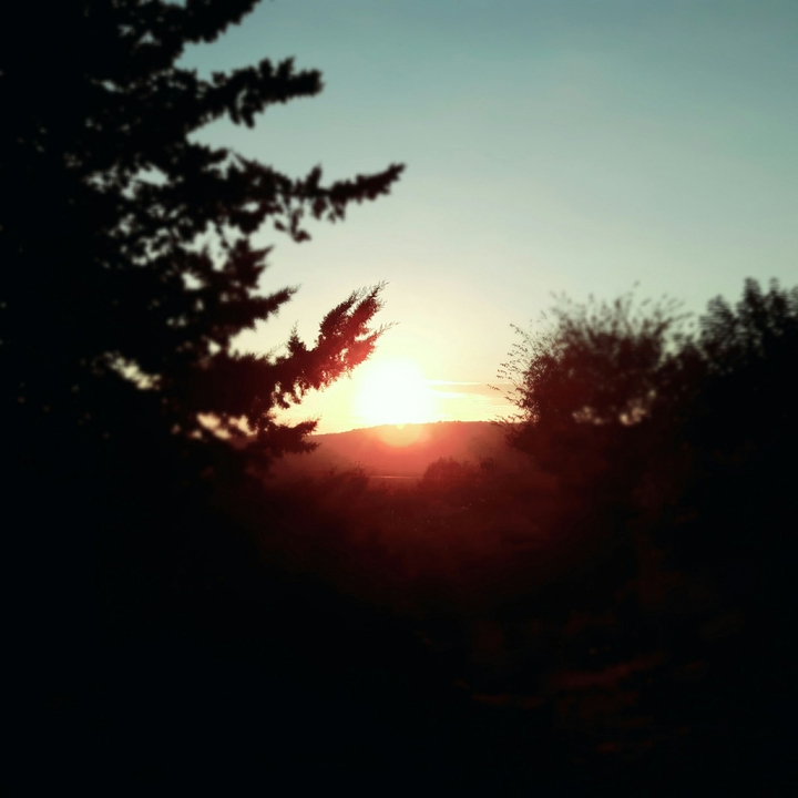 Sky