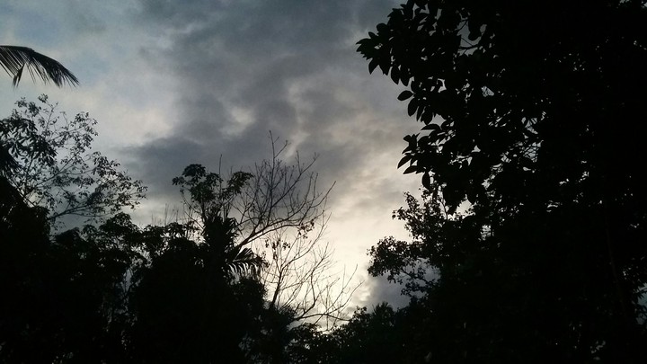 evening