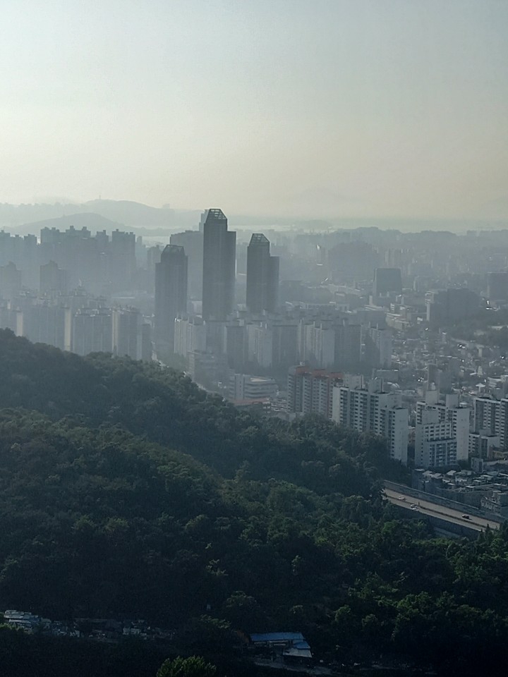 야산에서 바라본 시내쪽