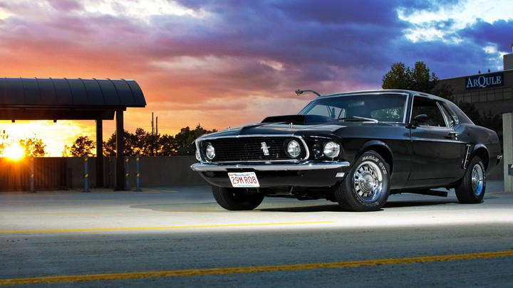 mustang