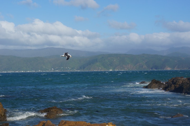 Sea