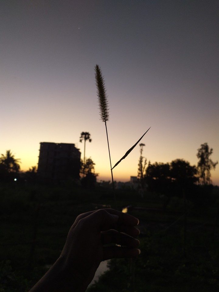 sunset...