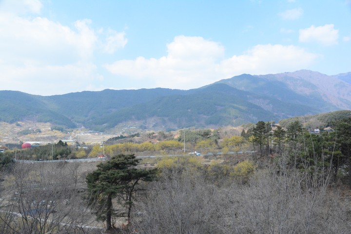 구례의봄이미지