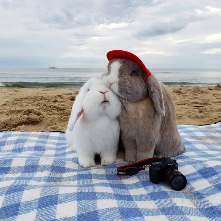 ~•°♡°•~♧~•°♡°•~