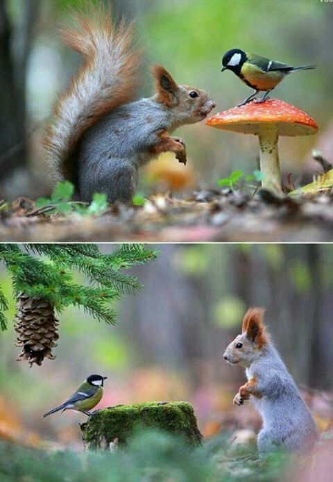 friends must trust ......