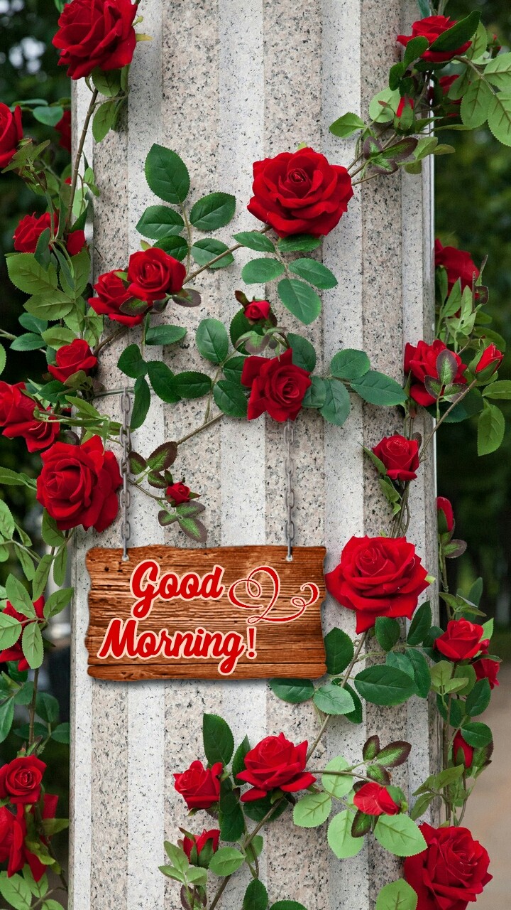 Good morning!!