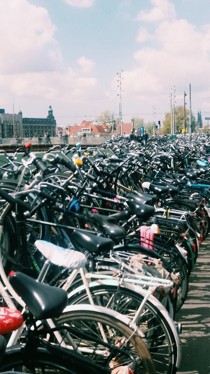 Amsterdam bicycles parking