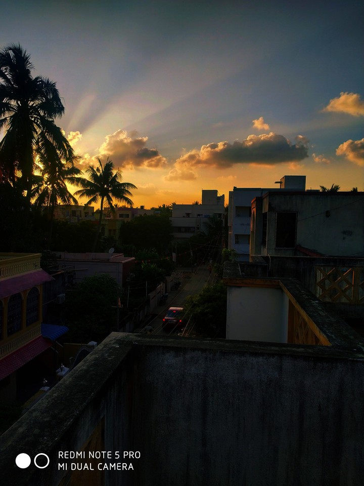 sunset