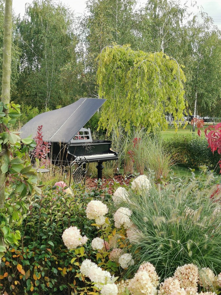 Piano in the bushes