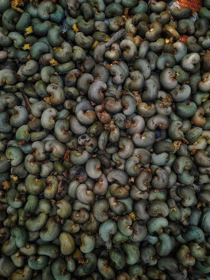 cashew nuts