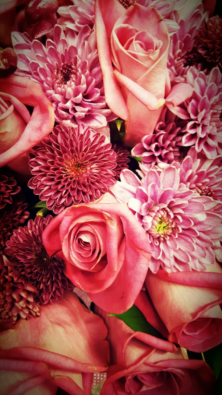 Flowers