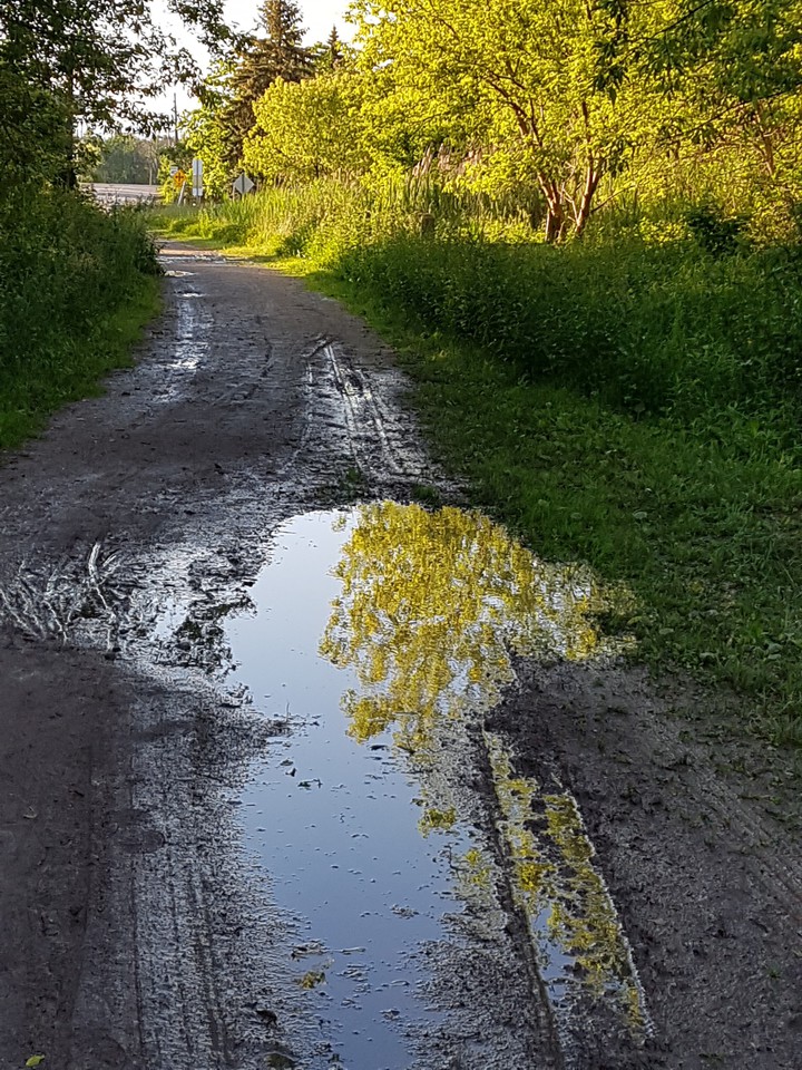 Mirrored Mud