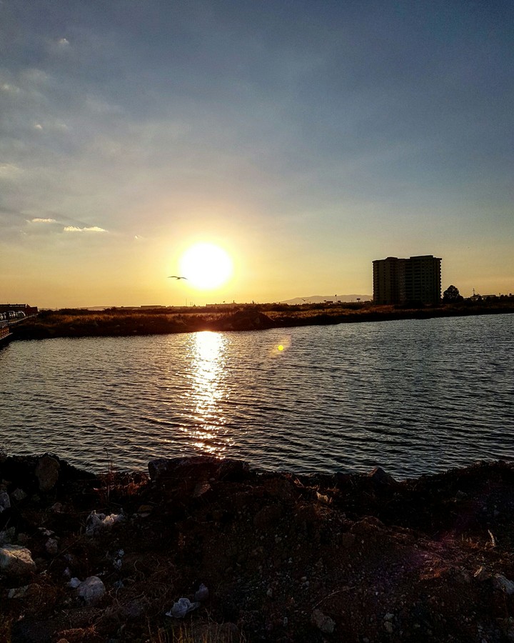 sun