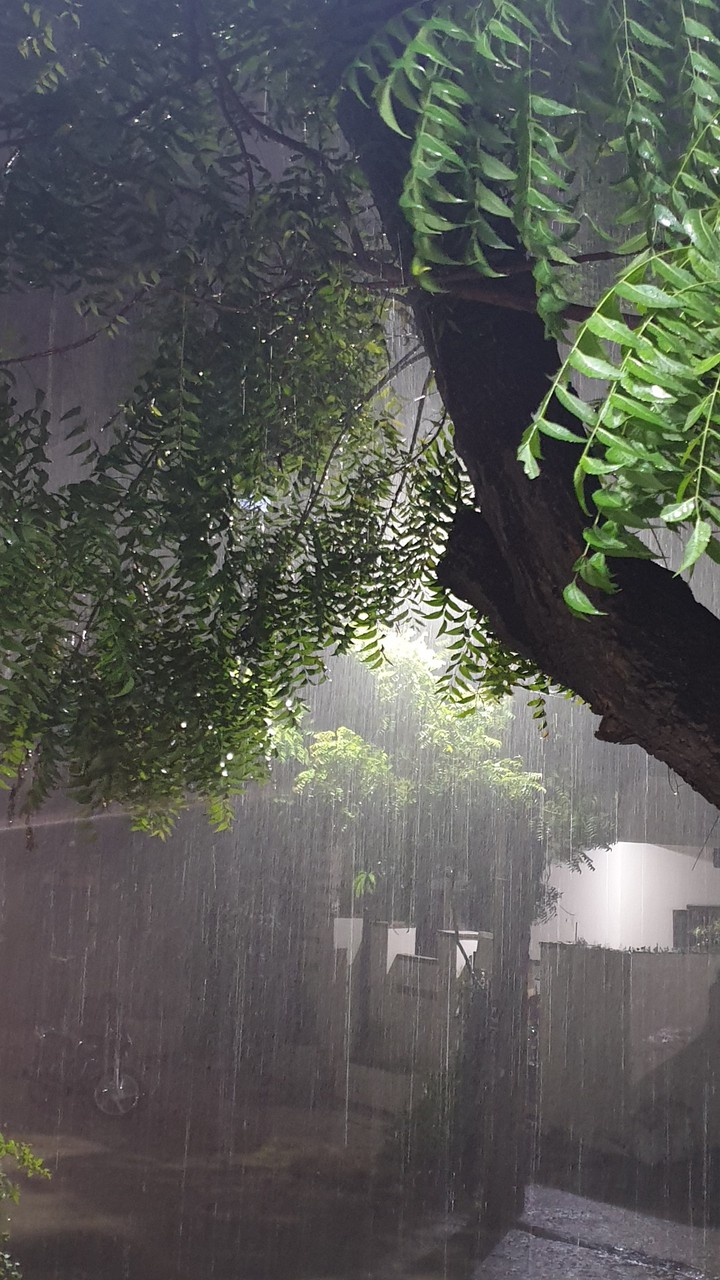 rain
