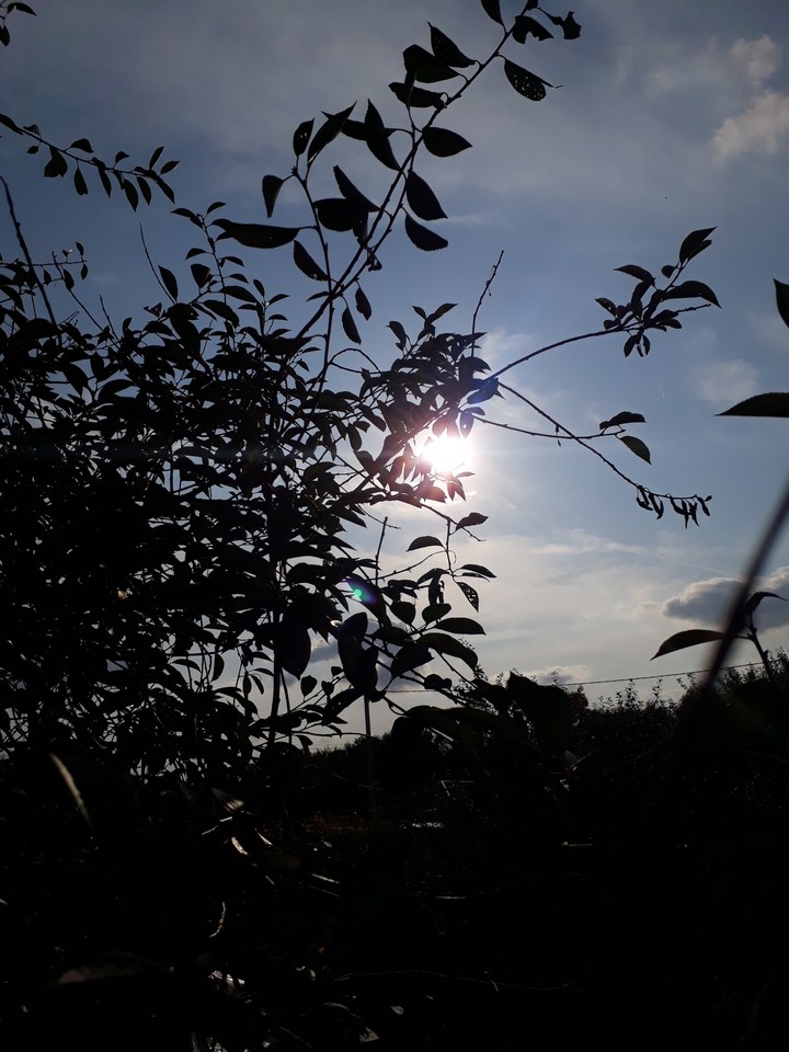 ☀️